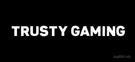 Verified Payment Partner MasterCard