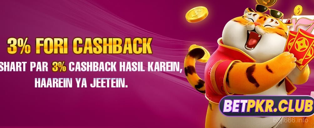 baji666 Slot Game Experience